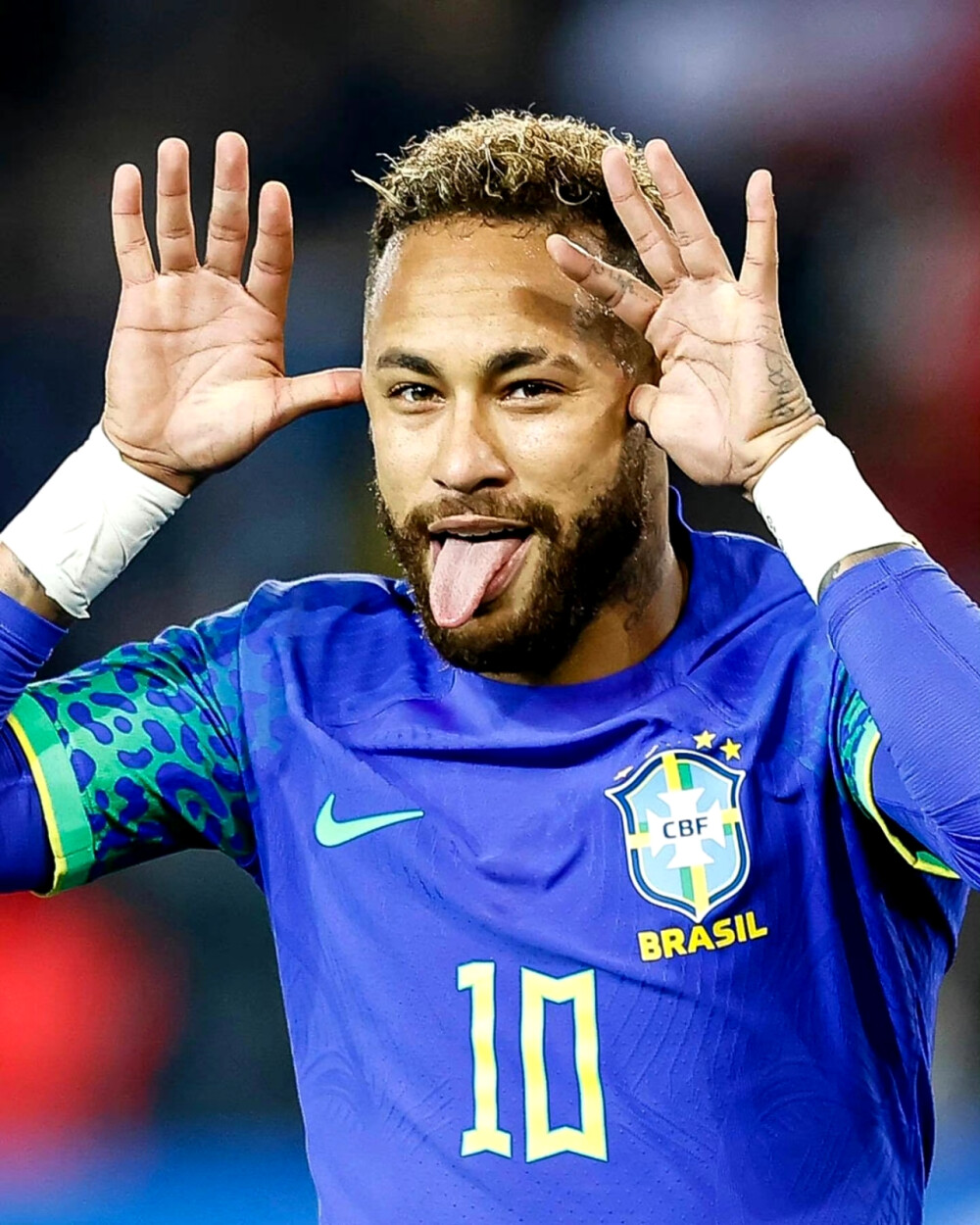 形成一个既 形成一个既