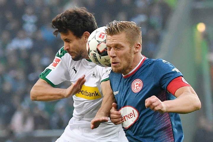 各路豪强纷 各路豪强纷