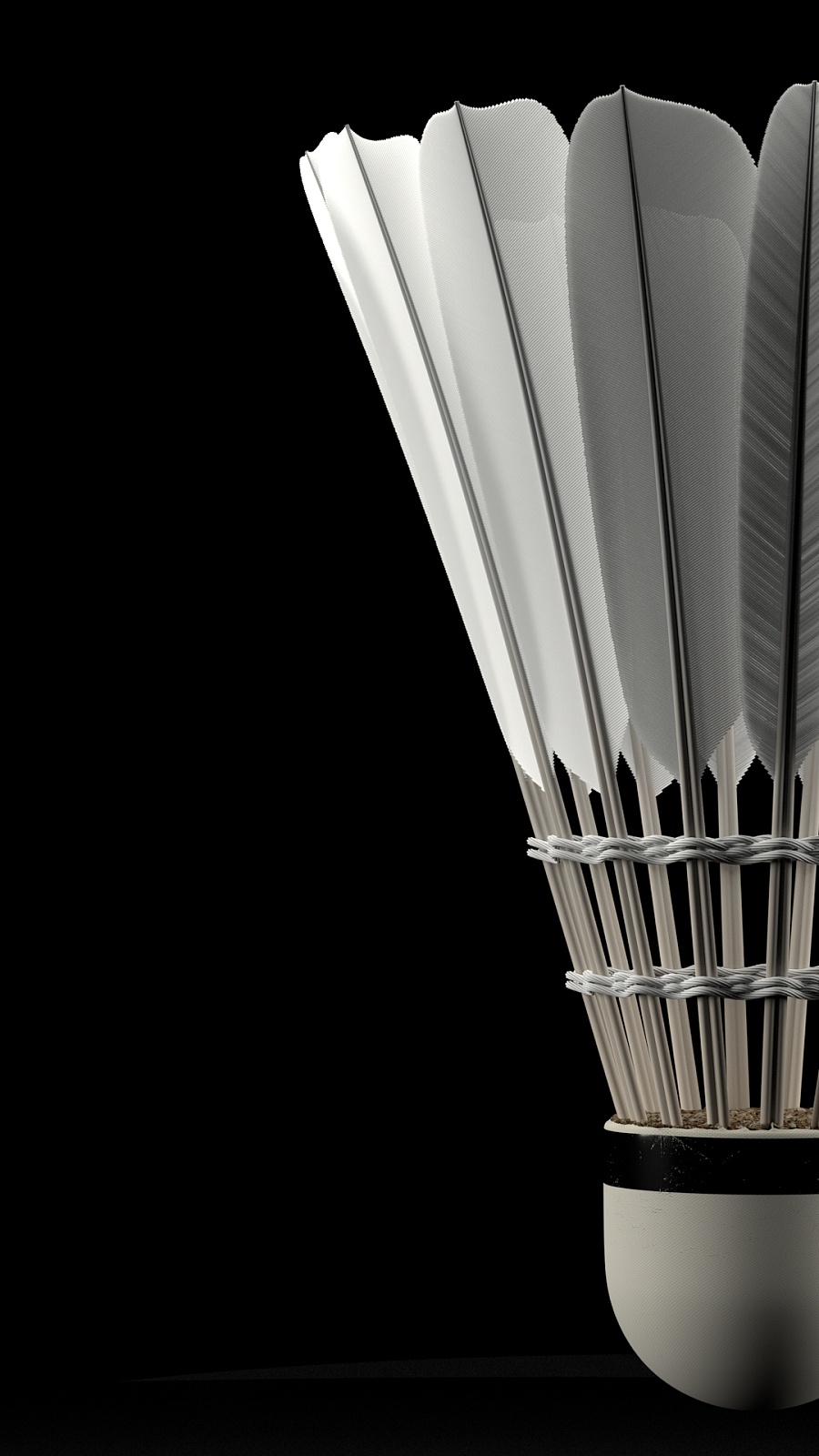 也为其他球 也为其他球