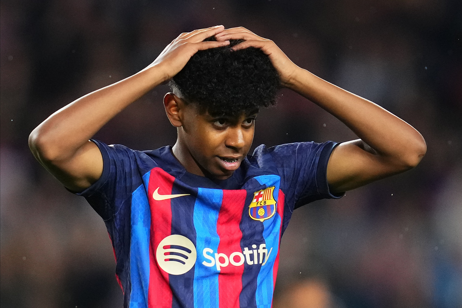 它告诉我们 它告诉我们